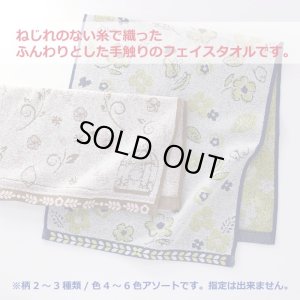 画像2: 御挨拶タオルふんわり無撚糸タオルアソート　5本セット (2)